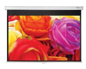 Optoma DS-1123PMG+ Ekran manualny 265,6 x 166 [cm] 16:10