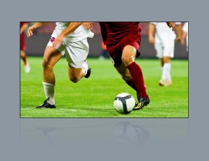 Optoma ALR120 ekran ramowy 265,7 x 149,4 cm do projektorów ultra-krótkiego rzutu 16:9 (120")