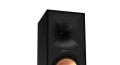 Klipsch R-800F 7.jpg