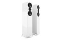 509 White 1.jpg