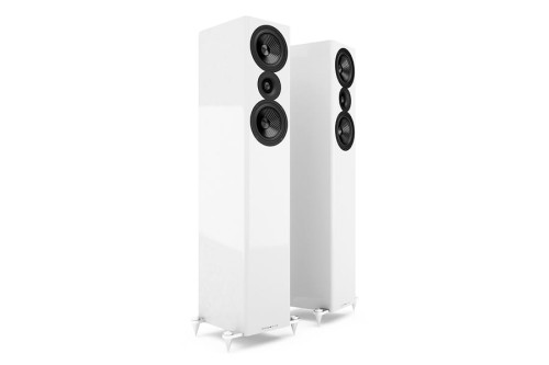509 White 1.jpg