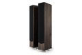 AE520 Walnut 2.jpg