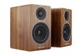 AE300 Walnut 1.jpg