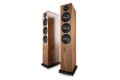 AE120 Walnut 1.jpg