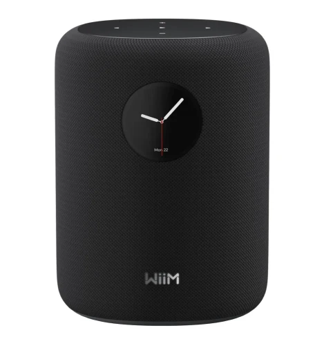 wiim-sound-inteligentny-glosnik-bezprzewodowy-wi-fi-bluetooth-53-z-ai-roomfit.webp