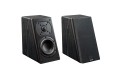 SVS Prime Elevation Black Ash