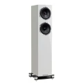 big_Fyne-Audio-F501SP-1-.webp